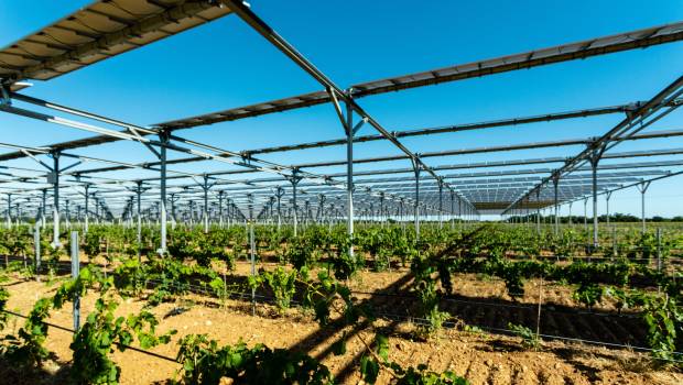 Sun'Agri renforce ses compétences en agri-intelligence