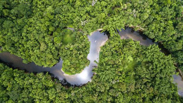 COP26 : les États signent un accord pour mettre fin à la déforestation