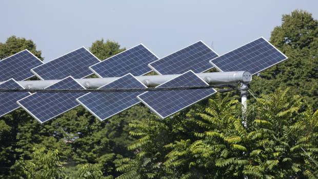 Iberdrola et Ombrea développent des sites agrivoltaïques de grande capacité en France et en Europe