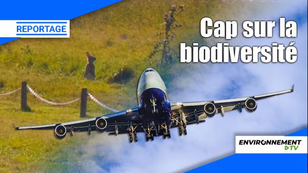 [Vidéo] Comment l'aéroport de Paris-Orly gère la biodiversité ?