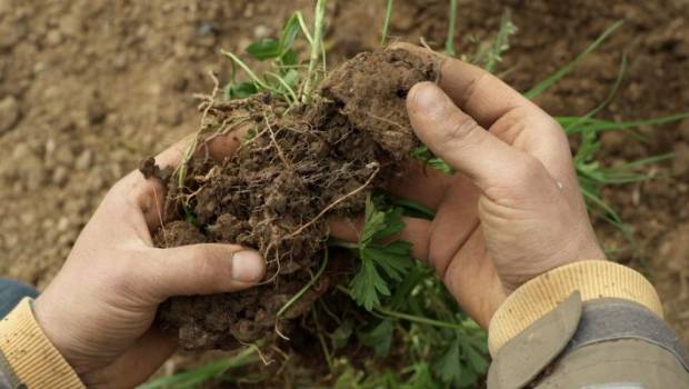 L'Occitane trace son sillon dans l'agro-écologie