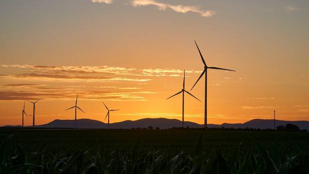 Quatre « sociétés » pour atteindre la neutralité carbone