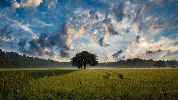Bassin Adour Garonne : 18 projets d'agriculture positive récompensés