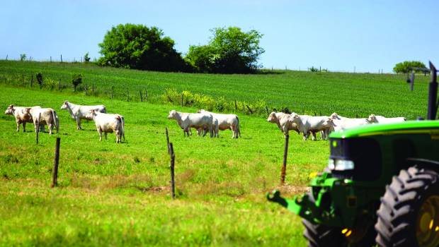 [Dossier] Les paiements pour services environnementaux, une incitation à la transition agroécologique