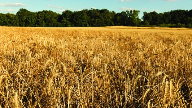 [Dossier/2] Eau de Paris à l’avant-garde avec son régime d’aides