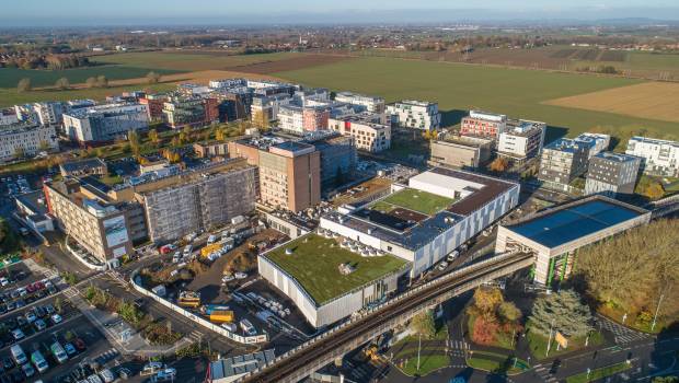 Toiture-terrasse : la nature en ville