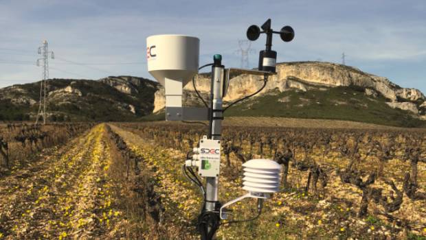[Avis des pros/1] Suivre les paramètres sol et météo pour optimiser le pilotage de l’irrigation