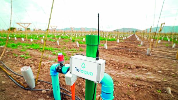 [Avis des pros/2] L’innovation au service d’une irrigation plus efficiente en eau