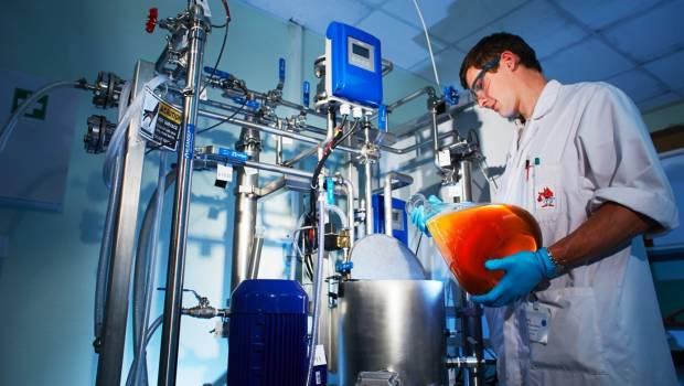 La Cellulose Valley développe l'emballage alternatif au plastique