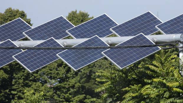 Le premier référentiel « culture » pour certifier les projets agrivoltaïques