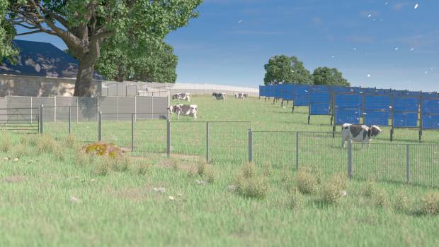 Un démonstrateur agrivoltaïque vertical en expérimentation dans le Puy-de-Dôme