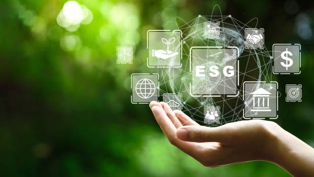 Les obligations durables devraient connaître une croissance avant la fin de la décennie