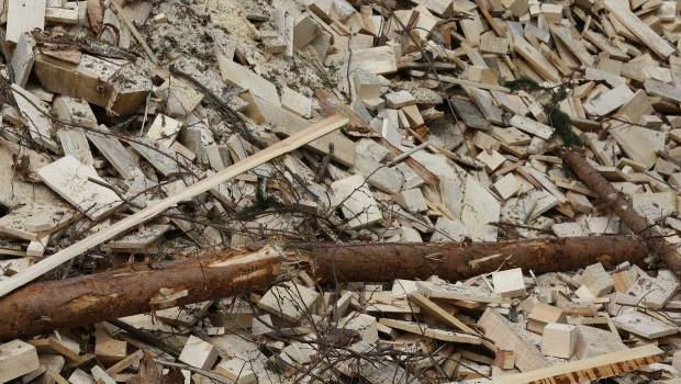 Le pôle IAR change d'identité pour accompagner la dynamique de la bioéconomie