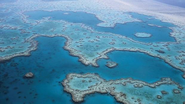 Australie : le gouvernement s’active pour la protection de la Grande Barrière de corail