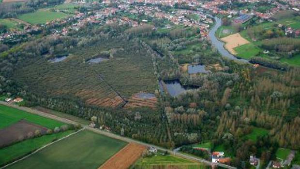 Hauts-de-France : création de la Réserve naturelle nationale de la tourbière de Marchiennes