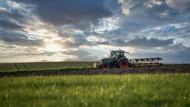 La surface agricole par habitant a baissé de 56 %
