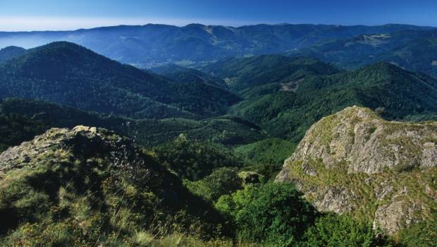 Le Grand Est lance les chantiers de reconquête de la biodiversité