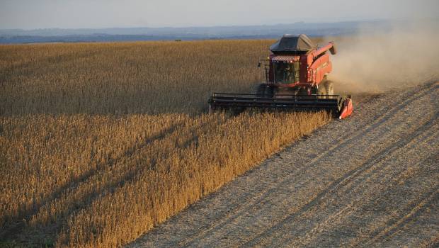 Un partenariat pour faire de la France un leader des protéines du futur