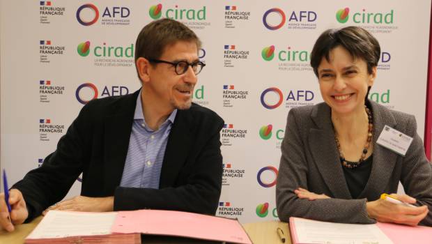 Le Cirad et AVSF coopèrent pour la durabilité des filières agricoles 