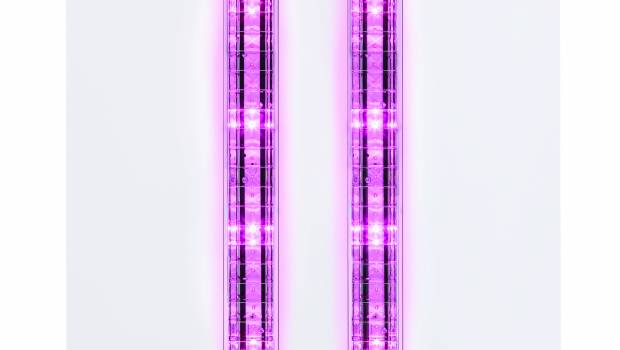 Des dalles pour désinfecter l’air intérieur