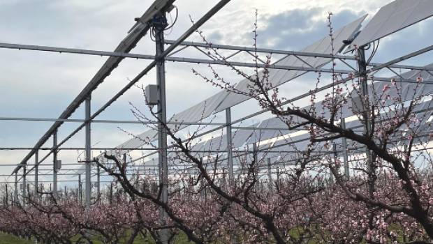 Un projet expérimental en agrivoltaïsme dynamique pour la filière arboricole