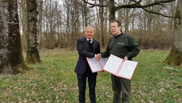 L’OFB et l’ONF coopèrent pour une gestion durable des forêts