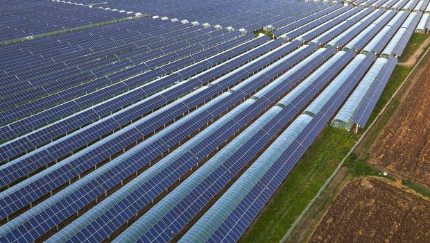 Iberdrola et Alpes Coop Fruits coopèrent pour de nouveaux projets agrivoltaïques