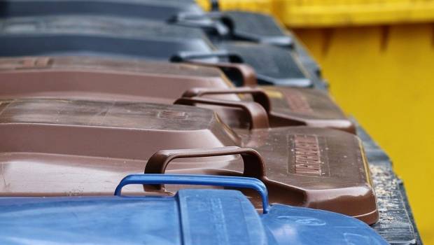 Le gouvernement liste les déchets compostables admis en collecte avec les biodéchets 