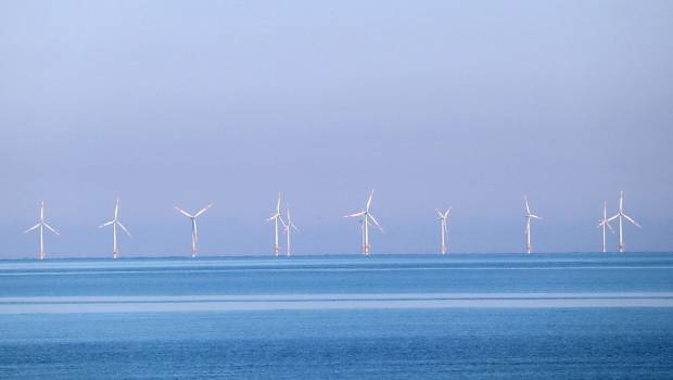Eolien offshore : un système d’atténuation du bruit des installations sur les écosystèmes marins