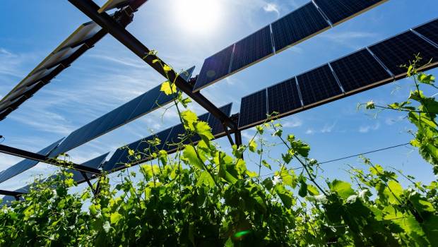 Qair et Sun’Agri se lèvent pour l’agrivoltaïsme dynamique piloté