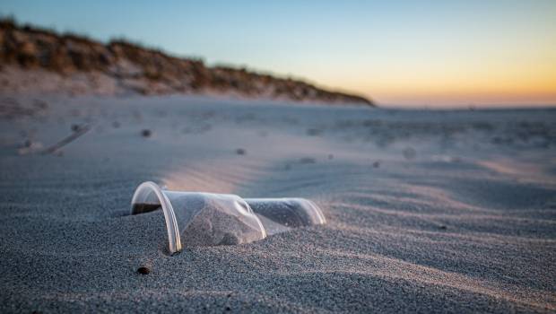 Surfrider Foundation Europe met les entreprises au défi pour l'environnement