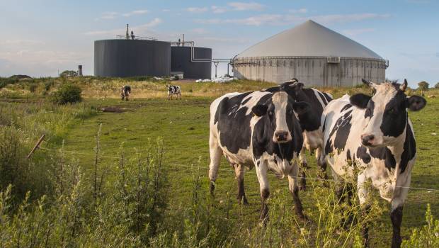 Bien-être animal : Welfarm appelle à la vigilance dans l'approvisionnement en biogaz