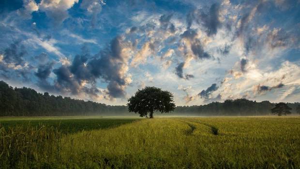 Un appel à projets pour semer bio