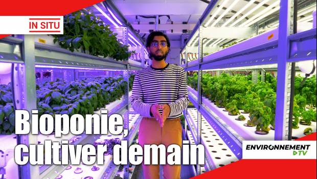 [Vidéo] Sartrouville abrite la plus grande ferme bioponique de France