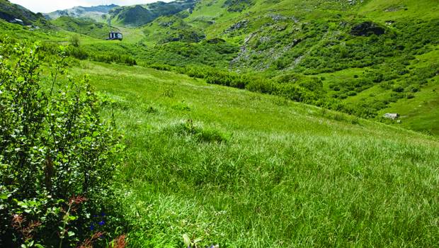 Dossier/3 | Dans la Vanoise, les zones humides des Belleville sous protection
