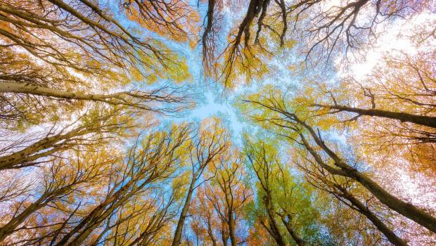 Le CESE plaide pour une politique de santé-environnement globale