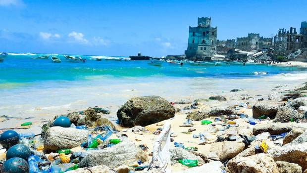 Avis d'expert | « Lutte contre la pollution plastique des océans, un combat avant tout local »