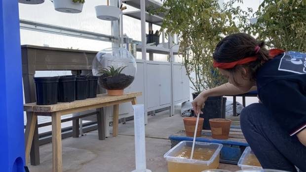 Toopi Organics transforme l’urine humaine en fertilisant agricole