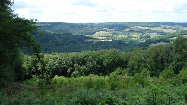 La transition énergétique dans le Morvan à l’honneur le 25 juin