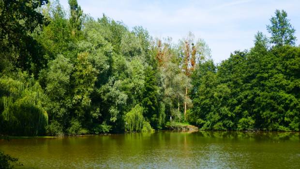 Île-de-France : six forêts régionales certifiées FSC en 2022