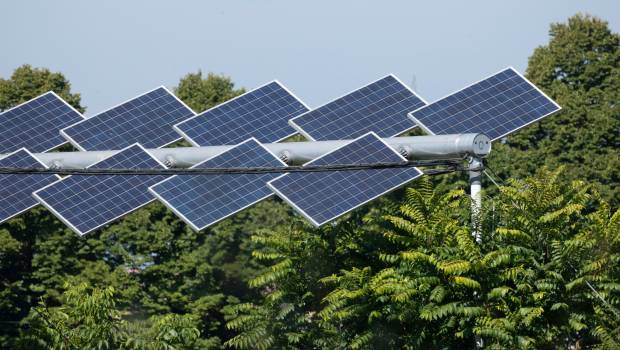 EDF Renouvelables intègre la Fédération française des producteurs agrivoltaïques 