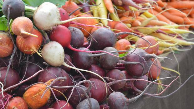 Le gouvernement travaille sur un plan d’actions pour réduire les additifs nitrés 