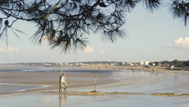Dossier | Les sentinelles du bon état des territoires littoraux