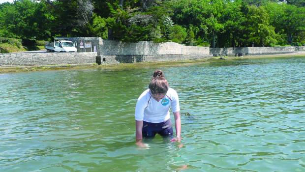 Dossier/2 | A Pornic Agglo Pays de Retz, Saur gère de pair assainissement et eaux de baignade