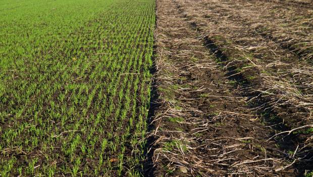 Bruxelles favorable à une dérogation à la rotation et aux jachères