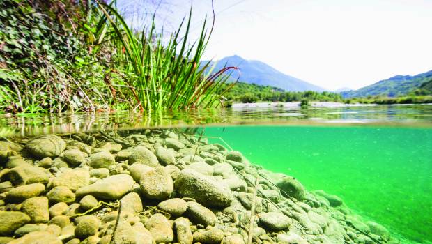 Enquête | Les Sage ont 30 ans : bilan et réforme en vue