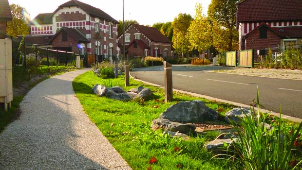 Dossier | Eau dans la ville, gérer le végétal avec le pluvial