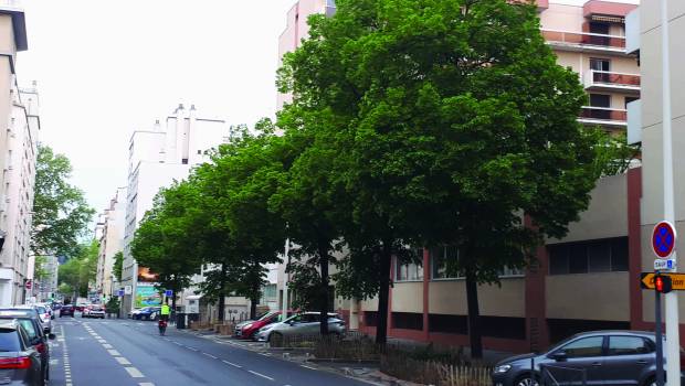 Dossier/1 | Le Grand Lyon expérimente les arbres de pluie