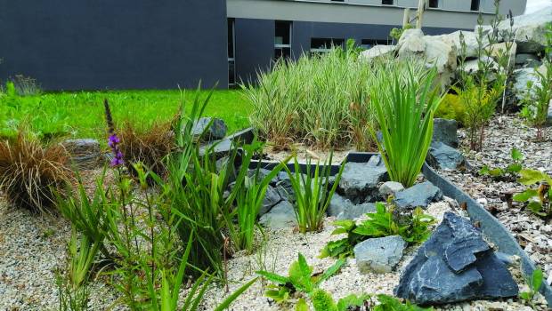 Dossier/2 | Les jardins de pluie d’Aquatiris fleurissent sur les parcelles privées