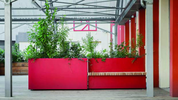 Dossier/3 | Vertuo, ses modules de végétalisation stockent l’eau pluviale en ville